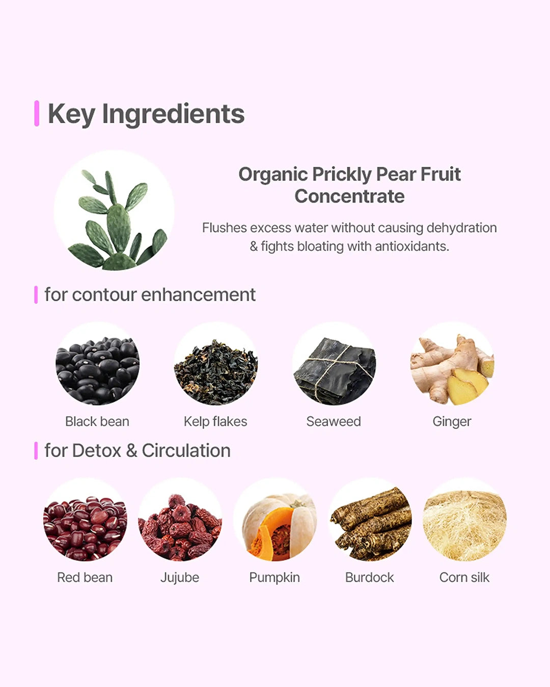 An infographic on a pale pink background detailing the key ingredients of Organic Prickly Pear Fruit Concentrate. The graphic is divided into sections for 'Key Ingredients' and 'for contour enhancement' (black bean, kelp flakes, seaweed, ginger) and 'for Detox & Circulation' (red bean, jujube, pumpkin, burdock, corn silk), each shown in a circular image with its name below.