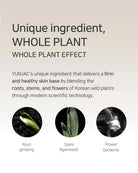 A promotional graphic for Yunjac Whole Plant Effect, featuring text about blending roots, stems, and flowers of Korean wild plants, with three circular inset images showing a green root ginseng, a stem agarth, and a flower gardenia.
