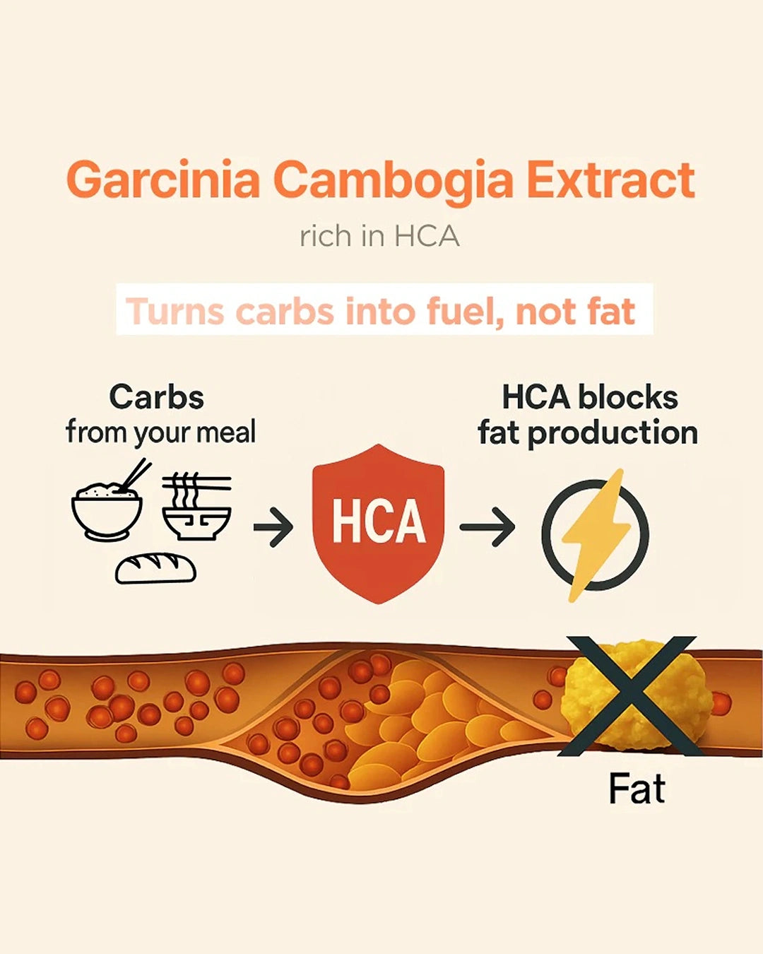 An infographic for Garcinia Cambogia Extract, featuring text and icons explaining that it is rich in HCA and helps turn carbs into fuel rather than fat. The bottom of the graphic shows a cross-section of a vein with red and yellow fatty deposits, marked with a large black 'X' over a yellow fat droplet.