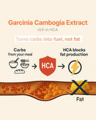 An infographic for Garcinia Cambogia Extract, featuring text and icons explaining that it is rich in HCA and helps turn carbs into fuel rather than fat. The bottom of the graphic shows a cross-section of a vein with red and yellow fatty deposits, marked with a large black 'X' over a yellow fat droplet.
