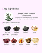 An infographic on a pale pink background detailing the key ingredients of Organic Prickly Pear Fruit Concentrate. The graphic is divided into sections for 'Key Ingredients' and 'for contour enhancement' (black bean, kelp flakes, seaweed, ginger) and 'for Detox & Circulation' (red bean, jujube, pumpkin, burdock, corn silk), each shown in a circular image with its name below.